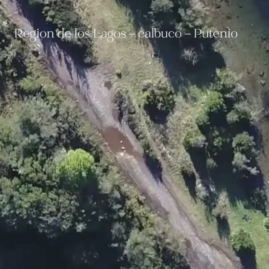 Venta de Parcelas Puerto Montt 